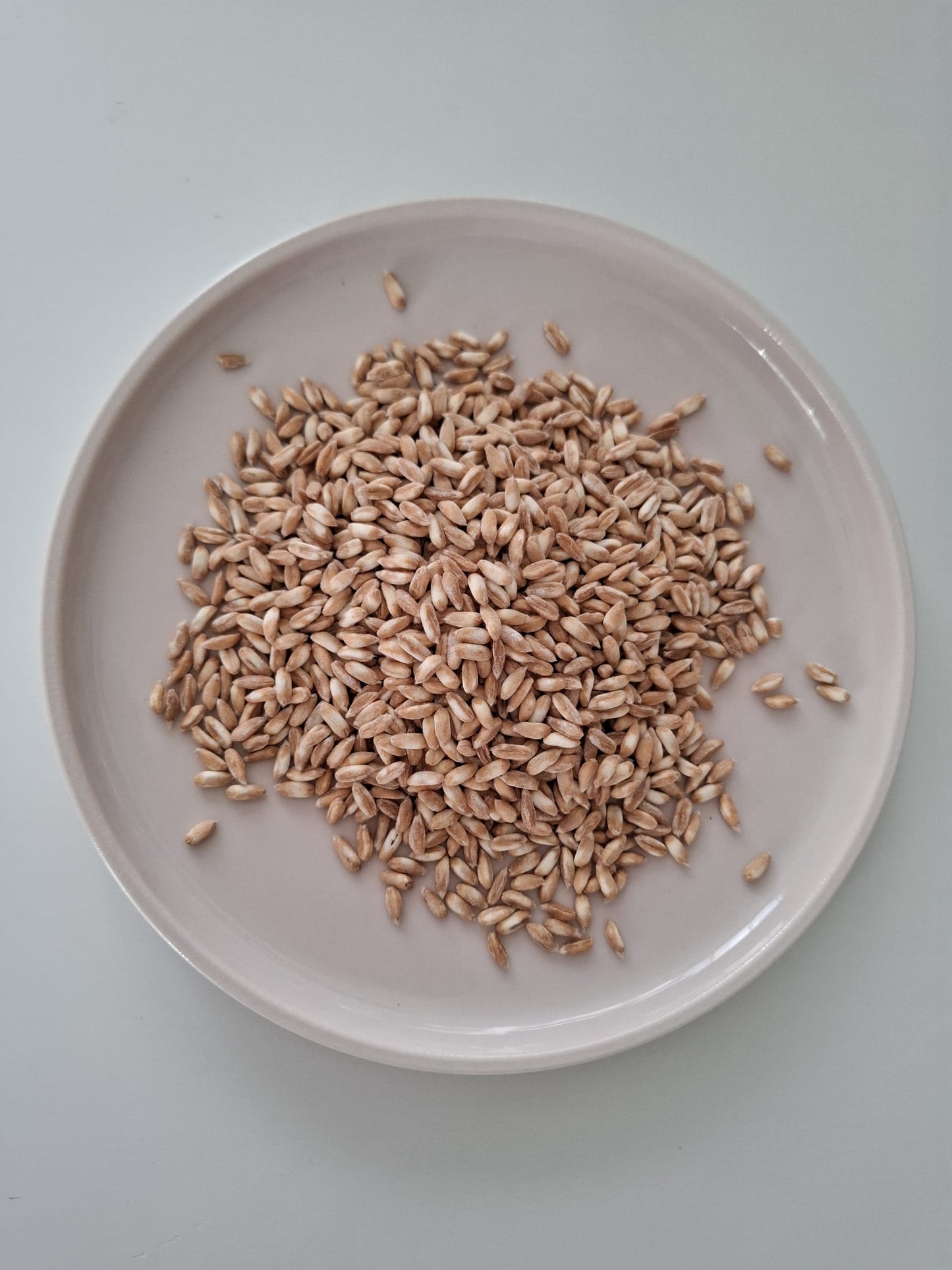 200g Kernotto